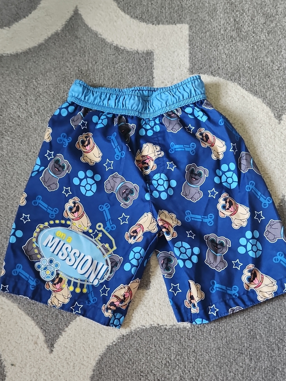 Disney Blue Puppy Dog PALS Swim Trunks